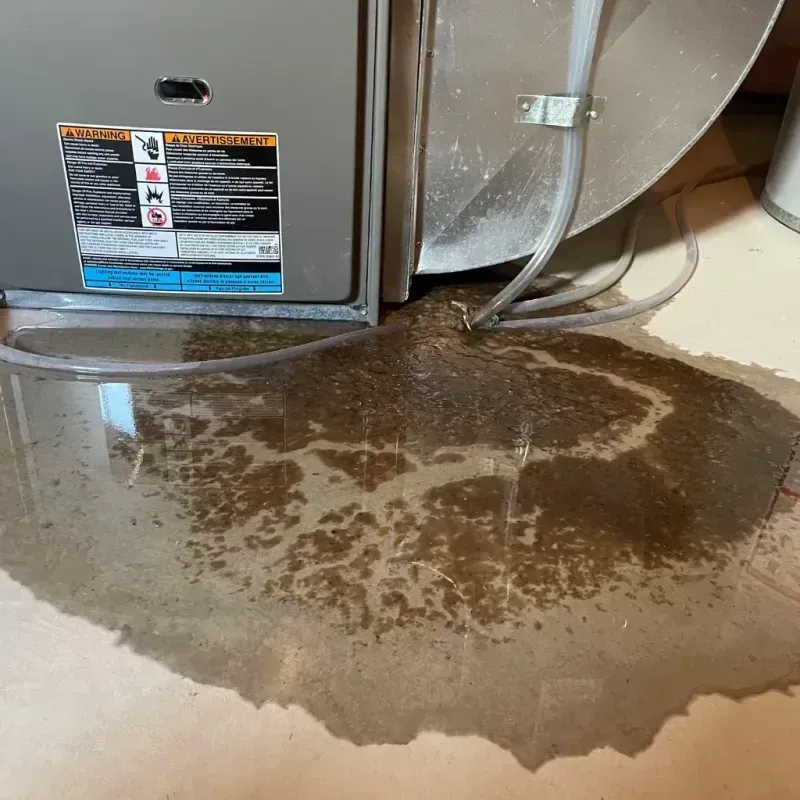 Appliance Leak Cleanup in Kingman County, KS